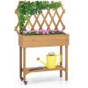 Giantex Raised Garden Bed on Wheels, Rolling Planter Boxes with Trellis, Storage Shelf & Black Liner, Indoor Outdoor Wood Raised Bed for Flower Climbing Vine, 36”x12”x51”
