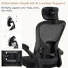 Giantex Ergonomic Mesh Office Chair, Home Office Desk Chair with Adjustable Headrest and Lumbar Support, Flip Up Armrests, Height Adjustable Executive Swivel Task Chair for Home Office, Study, Black