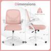 Giantex Mesh Office Chair, Ergonomic Desk Chair with Flip-up Arms & Lumbar Support, Height Adjustable Swivel Computer Desk with High Back for Home Office (Black)(Pink)