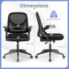 Giantex Mesh Office Chair, Ergonomic Desk Chair with Flip-up Arms & Lumbar Support, Height Adjustable Swivel Computer Desk with High Back for Home Office (Black)(Black)