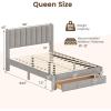 Giantex Queen Size Bed Frame with Storage Drawer, Upholstered Velvet Platform Bed with Vertical Channel Headboard, Wooden Slats Support Mattress Foundation, No Box Spring Needed, Beige(Grey)