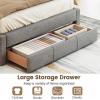 Giantex Queen Size Bed Frame with Storage Drawer, Upholstered Velvet Platform Bed with Vertical Channel Headboard, Wooden Slats Support Mattress Foundation, No Box Spring Needed, Beige(Grey)