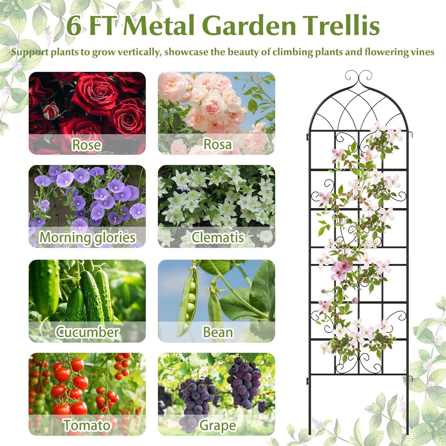 image:imageGiantex 2 Packs 86x20 Metal Garden Trellis for Outdoor Climbing Plants HeavyDuty Plant Support for Vine Rose Vegetable Flower Rustproof Black Metal Coating Patio Trellis Arch Decorative Fence71x202 Panel