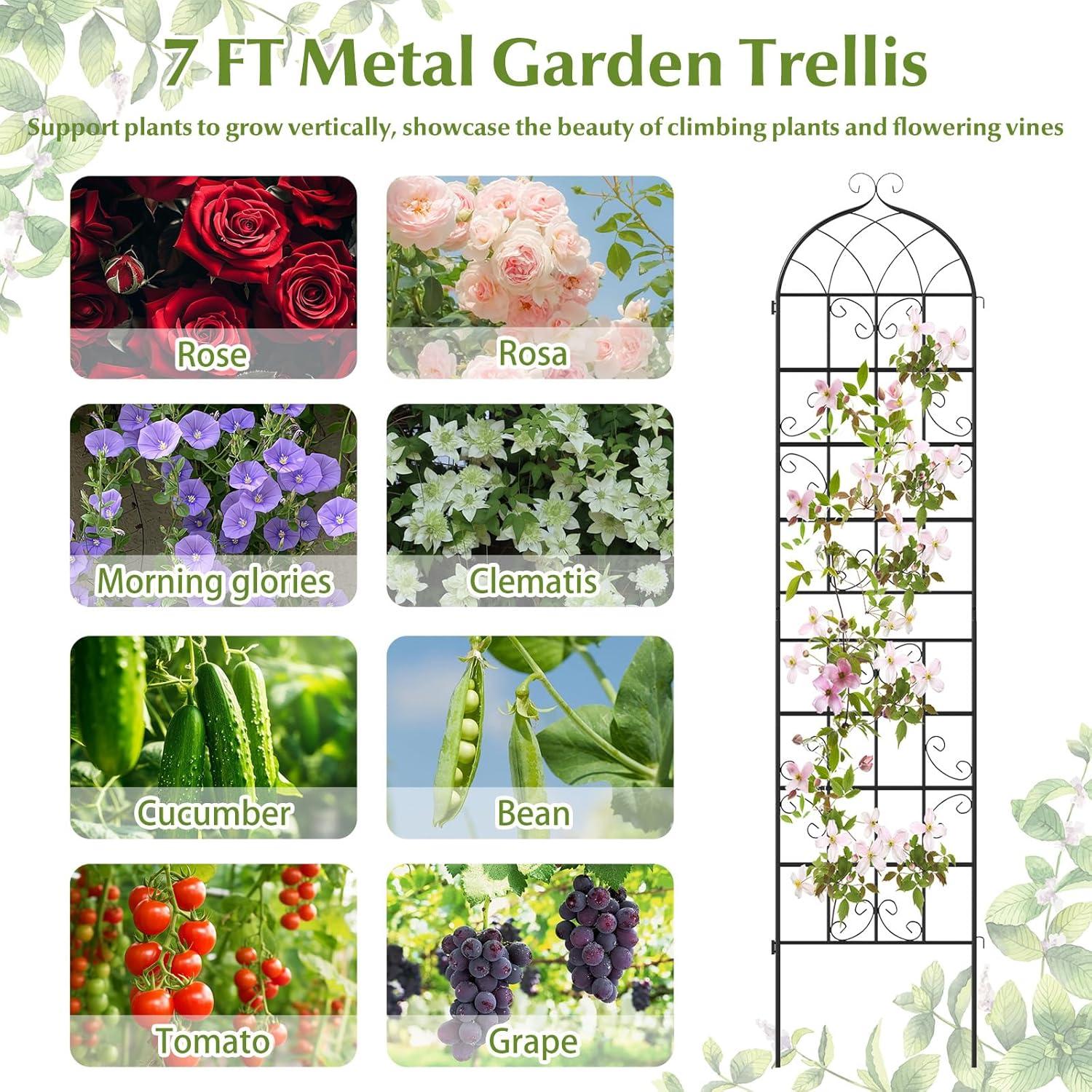 image:imageGiantex 2 Packs 86x20 Metal Garden Trellis for Outdoor Climbing Plants HeavyDuty Plant Support for Vine Rose Vegetable Flower Rustproof Black Metal Coating Patio Trellis Arch Decorative Fence86x202 Panel