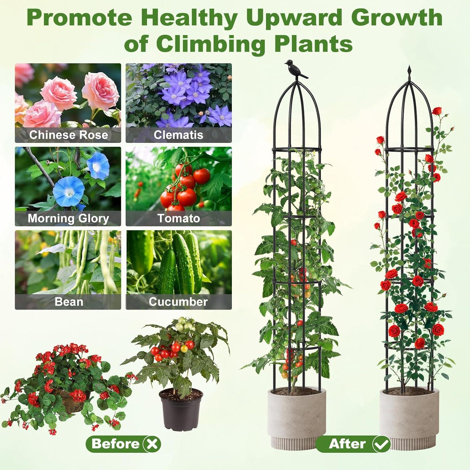 image:imageGiantex 2Pack Tomato Cages 78 PECoated Metal Garden Obelisk Trellis for Climbing Plants Rustproof Plant Cage amp Supports wAdjustable Height Support Stand for Vine Jasmine Rose Tomato