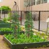 Giantex 2-Pack Tomato Cages, 78” PE-Coated Metal Garden Obelisk Trellis for Climbing Plants, Rustproof Plant Cage & Supports w/Adjustable Height, Support Stand for Vine Jasmine Rose Tomato