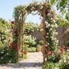 Giantex 7.5FT Wood Garden Arbor Trellis, Wooden Wedding Arch for Ceremony Party, Outdoor Archway Pergola for Climbing Plants, Pathway, Yard, Garden Decor, Easy Assembly (Honey Brown, 63”W x 90”H)(Dark Brown)