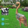 Giantex Flamingo Garden Statues Set of 2, Standing Metal Flamingo Sculptures Bird Ornament Yard Decorations for Lawn Backyard Porch Patio Outdoor Decor, with 4 U-Shaped Stakes (Flamingo)(Crane)