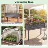 Giantex Raised Garden Bed with Legs & Greenhouse Cover, 44x22x60 Elevated Metal Planter Box with Roll-up Door, Outdoor Mini Greenhouse for Vegetable Flower Herb Patio Balcony (Black,2)(Gray)