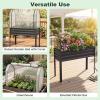 Giantex Raised Garden Bed with Legs & Greenhouse Cover, 44x22x60 Elevated Metal Planter Box with Roll-up Door, Outdoor Mini Greenhouse for Vegetable Flower Herb Patio Balcony (Black,2)(Black)