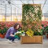 Giantex Raised Garden Bed with Trellis 2 Pack, 72” Wooden Planter Box Outdoor w/Privacy Screen Roof, Large Vertical Garden Planter w/Drainage Holes for Climbing Plants, Patio Balcony Backyard(Natural)