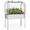 Giantex Raised Garden Bed with Legs & Greenhouse Cover, 44x22x60 Elevated Metal Planter Box with Roll-up Door, Outdoor Mini Greenhouse for Vegetable Flower Herb Patio Balcony (Black,2)(Silver)