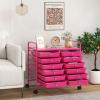 Giantex 20 Drawers Rolling Cart, Mobile Storage Drawer Cart, Classroom Organizer Cart for Office School Supplies Tools Scrapbook Paper Craft Small Printer, Utility Cart on Wheels, Green Gradient(Hot Pink)