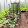 Giantex 8 Pack Folding Tomato Cages, 39″ Square Plant Support Cage, Metal Tomato Trellis for Garden, Pots, Climbing Plants, Vegetables, Flowers, Fruits(2)