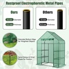 Giantex Walk-in Greenhouse, 4 Tier 8 Shelves, Portable Plant Garden House Indoor Outdoor Mini Growing House for Herb Flower Succulent, Zipped Door, Metal Frame (Clear)(Green)