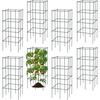 Giantex 8 Pack Folding Tomato Cages, 39″ Square Plant Support Cage, Metal Tomato Trellis for Garden, Pots, Climbing Plants, Vegetables, Flowers, Fruits(2)