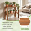 Giantex Foldable Plant Shelf, 2-Tier Solid Wood Indoor Outdoor Flower Pot Display Rack, Corner Storage Bookshelf, Freestanding Tiered Plant Stand for Garden Patio Balcony, No Assembly(2-Tier)